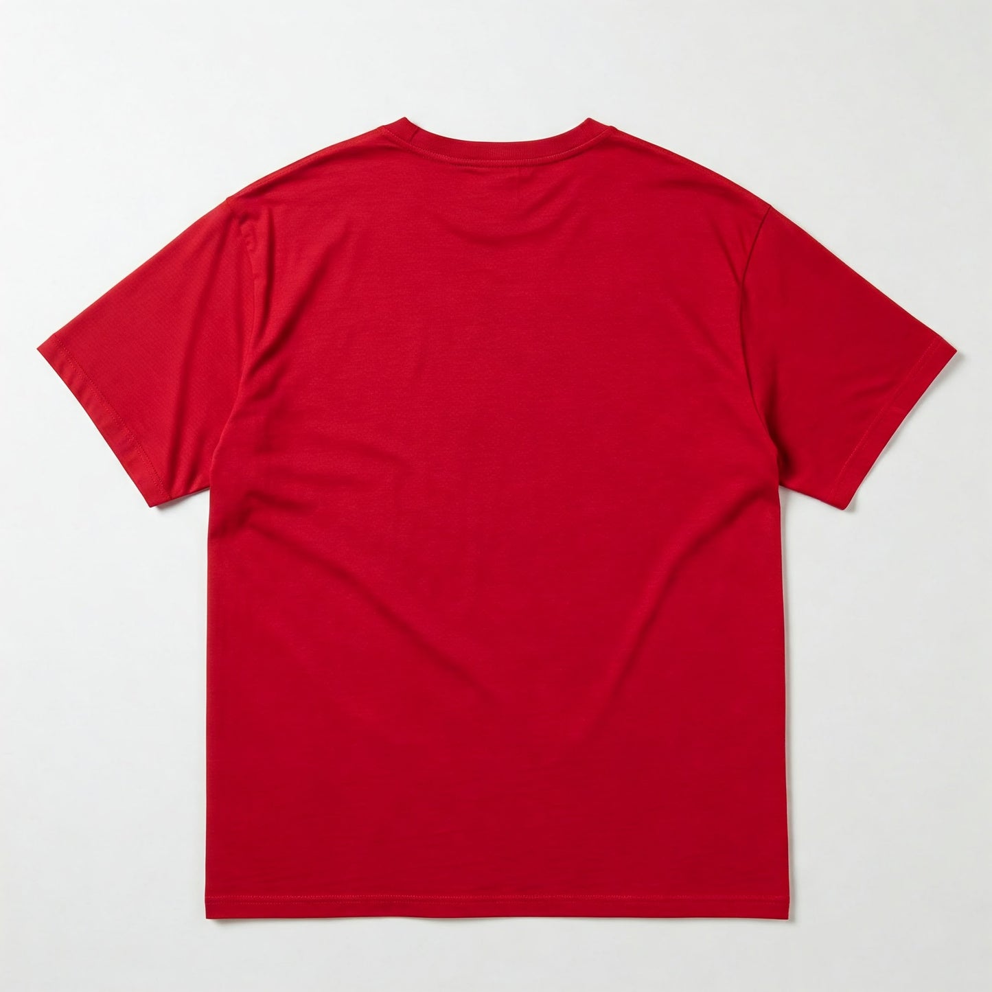 WINGS OVERSIZED TSHIRT